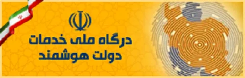 دولت هوشمند